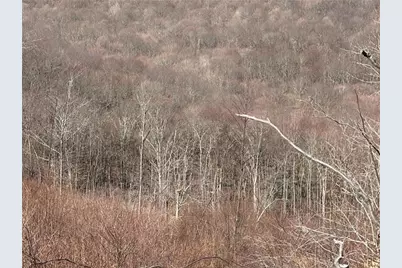 Lot Auction Ln, Wheatfield Township (East/West), PA 15954 - Photo 7