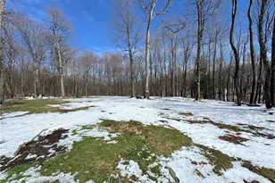 230 Grandview Rd, Bullskin Township, PA 15610 - Photo 37