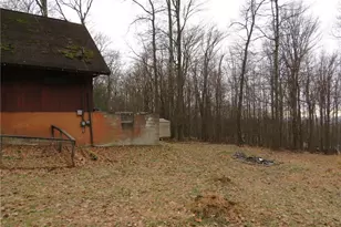 238 Horse Shoe Bend Rd, Bullskin Township, PA 15610 - Photo 29