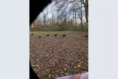 225 Old Ferry, Dry Tav-Rices Landing, PA 15357 - Photo 29