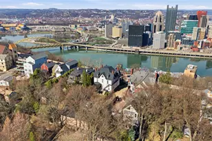 229 Grandview Ave, Pittsburgh, PA 15211 - Photo 9