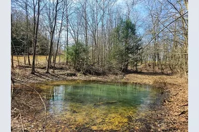 17562 Round Top Rd, Hayfield, PA 16335 - Photo 5