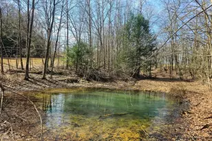 17562 Round Top Rd, Hayfield, PA 16335 - Photo 5