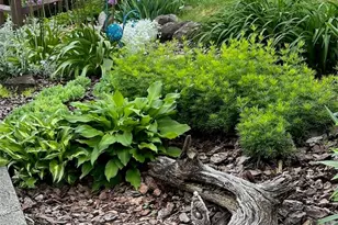 3236 Circle Dr, Pittsburgh, PA 15227 - Photo 41