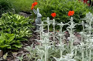 3236 Circle Dr, Pittsburgh, PA 15227 - Photo 39