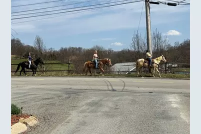 440 Chapeldale Dr, Upper Burrell, PA 15613 - Photo 47