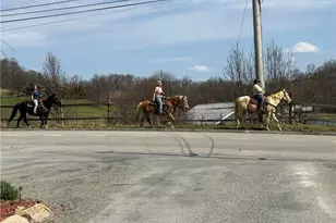 440 Chapeldale Dr, Upper Burrell, PA 15613 - Photo 47