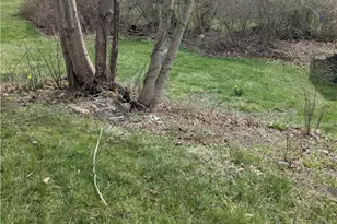 506 E Moody Ave, New Castle, PA 16105 - Photo 5