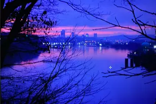 7005 Ohio River Blvd, Pittsburgh, PA 15202 - Photo 39