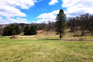 3350 New Texas Rd, Pittsburgh, PA 15239 - Photo 5