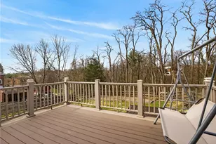 455 Grace St, Pittsburgh, PA 15236 - Photo 43