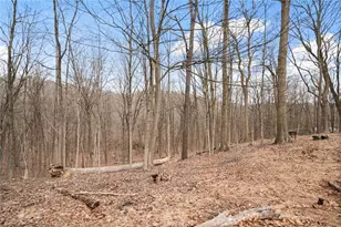 3649 Logan Ferry Rd, Murrysville, PA 15668 - Photo 25