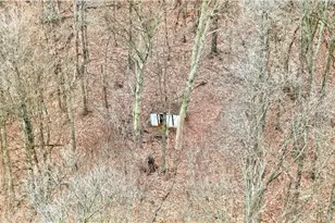 1270 Mudlick Hollow Rd, Brighton Township, PA 15009 - Photo 49