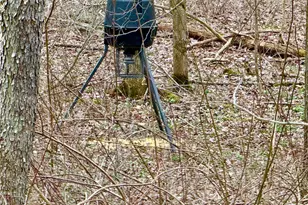 382 Hosack Rd, Jackson Township, PA 16133 - Photo 23