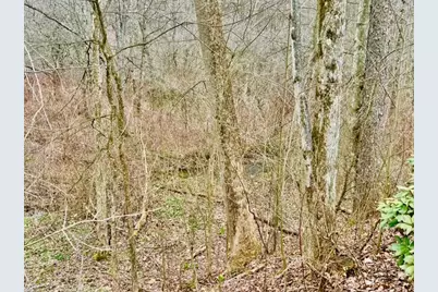 382 Hosack Rd, Jackson Township, PA 16133 - Photo 27