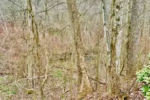 382 Hosack Rd, Jackson Township, PA 16133 - Photo 27