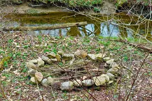 382 Hosack Rd, Jackson Township, PA 16133 - Photo 23