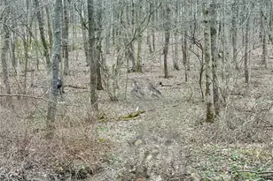 382 Hosack Rd, Jackson Township, PA 16133 - Photo 25