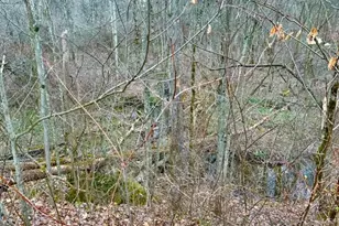 382 Hosack Rd, Jackson Township, PA 16133 - Photo 25