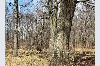 4905 Old Route 422, Slippery Rock, PA 16101 - Photo 11