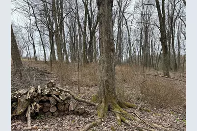 0 Saxonburg Road, Summit Township, PA 16002 - Photo 13