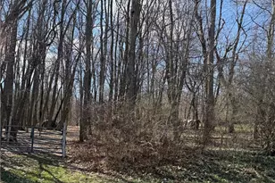 0 Saxonburg Rd, Summit Township, PA 16002 - Photo 1