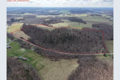 0 Maple Leaf Rd, Wayne Township, PA 16222 - Photo 19