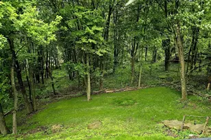 7018 Franklin Rd, Seven Fields Boro, PA 16046 - Photo 43