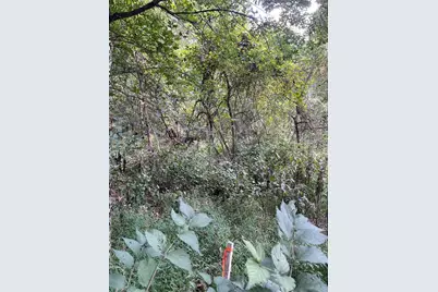 636 Clifton Road, Bethel Park, PA 15102 - Photo 29