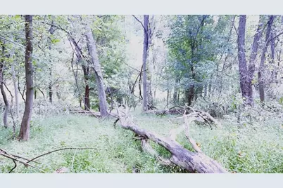 636 Clifton Road, Bethel Park, PA 15102 - Photo 27