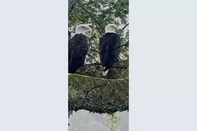 214 Youngs Ln, Sugarcreek Boro, PA 16323 - Photo 49