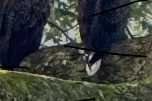 214 Youngs Ln, Sugarcreek Boro, PA 16323 - Photo 49