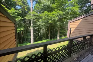 60 Swiss Mountain Dr, Seven Springs, PA 15622 - Photo 35