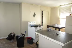 215 Anthony St, Pittsburgh, PA 15210 - Photo 19