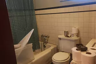 11 Ramage Ave, Union Township, PA 15038 - Photo 33