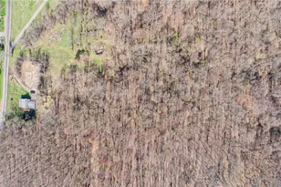 278 Aley Hill Rd, Big Beaver, PA 15010 - Photo 13