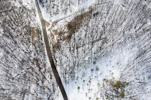 660 Clinton Ln, Bullskin Township, PA 15490 - Photo 21