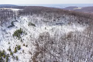 660 Clinton Ln, Bullskin Township, PA 15490 - Photo 25