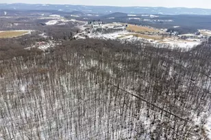 660 Clinton Ln, Bullskin Township, PA 15490 - Photo 19