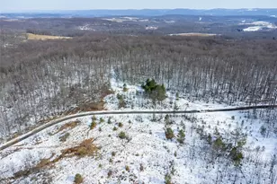 660 Clinton Ln, Bullskin Township, PA 15490 - Photo 5