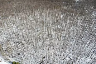 660 Clinton Ln, Bullskin Township, PA 15490 - Photo 15