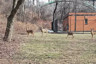 751 Naylor St, Pittsburgh, PA 15207 - Photo 23