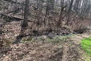 156 Desko Rd, German Township, PA 15458 - Photo 41