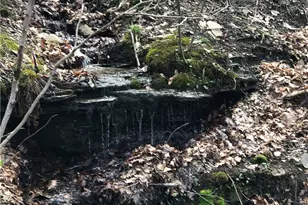 156 Desko Rd, German Township, PA 15458 - Photo 11