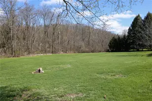 1021 Leesburg Station Rd, Springfield Township, PA 16137 - Photo 39