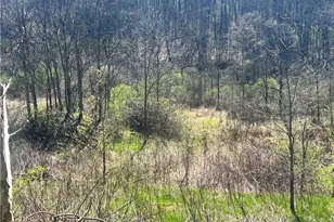 283 McClain Rd, Chippewa Township, PA 15010 - Photo 3