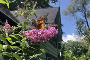 302 Duff Rd, Pittsburgh, PA 15235 - Photo 39