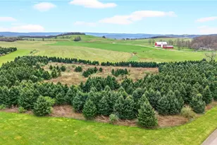 534 Harvest Dr, Milford Township, PA 15557 - Photo 15