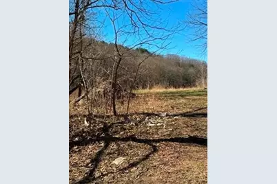 0 Brush Run, Blaine Township, PA 15312 - Photo 7