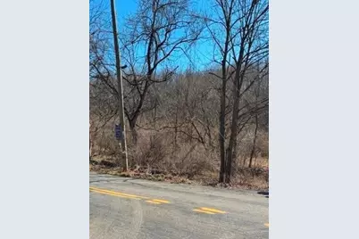 0 Brush Run, Blaine Township, PA 15312 - Photo 11